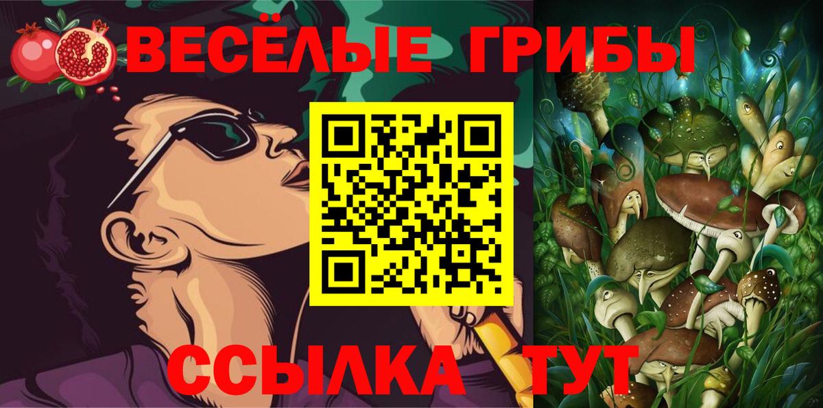 Коммунар  наркота  Вход с VPN  Псилоцибиновые грибы GOLDEN TEACHER 