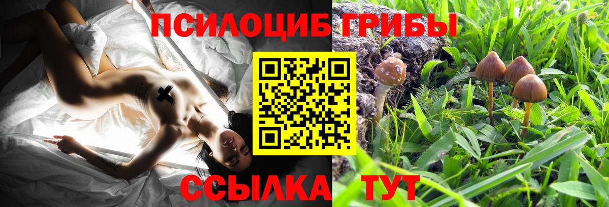 Псилоцибиновые грибы ЛСД Коммунар